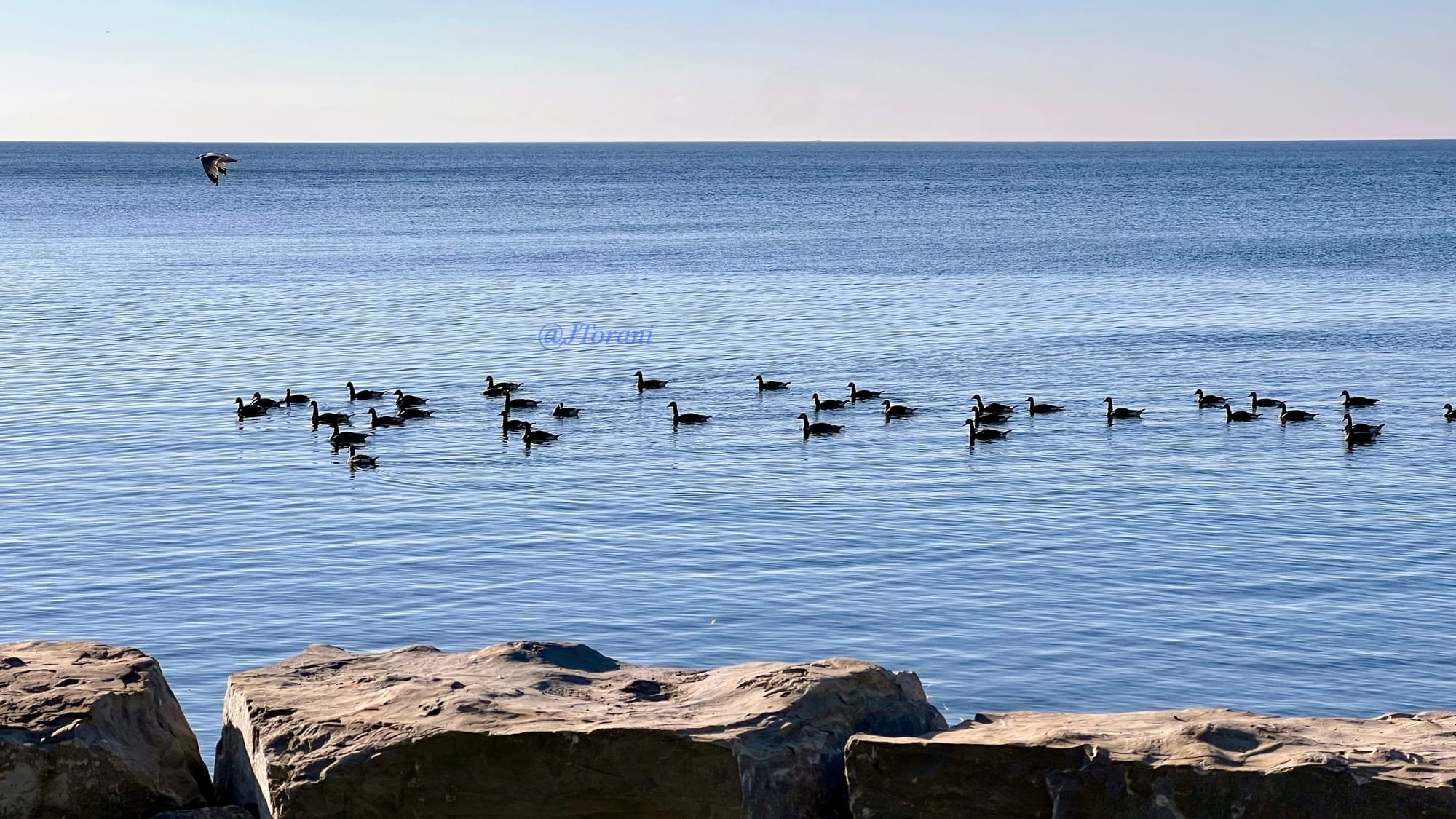 Welcome to a Summer of Experiences, Growth, and Endless Possibilities!