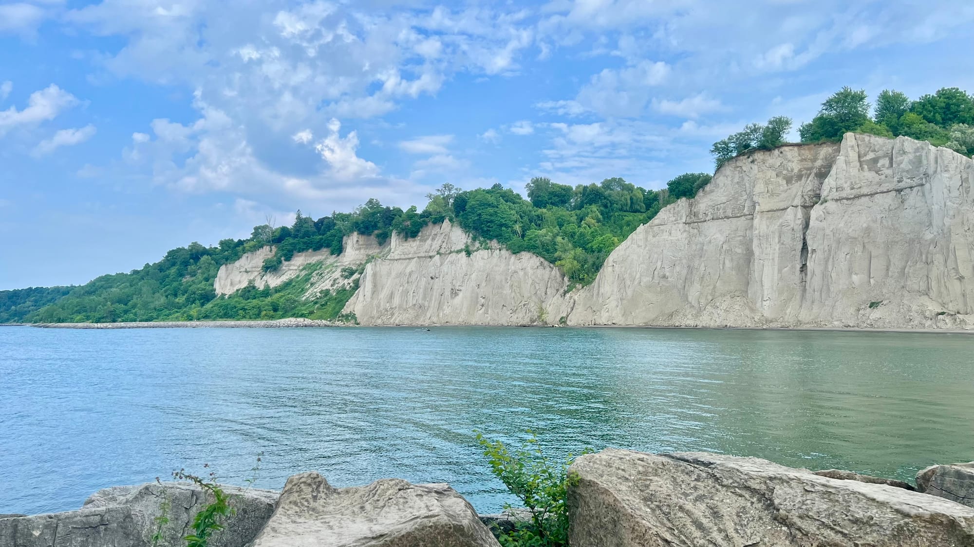 Week One - What Do You Mean I Took the Decision to Have No Income for the Next 12 Weeks?!